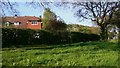 House and footpath at small green at Dockenfield