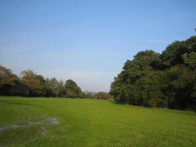 Field next to Grendon Wood
