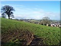 Tiverton : Exeter Hill & Hillside