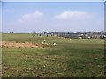 Fields to the north of Strathaven Park