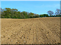 Footpath to Withy Copse, not far from Chisbury