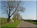 SP4991 : Lane near Sharnford Leicestershire by Steve  Fareham