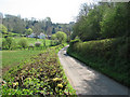 View towards Mounton