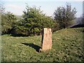 Standing Stone on Kerridge Hill