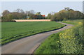 Lane towards Willow Wood