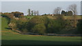 Countryside north of Wetherden