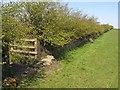 Hidden gateway on the St Oswald