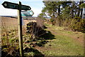 Forfar Path Network to Dundee Road from its junction with the Balmashanner Path