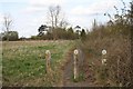 Footpath to the village