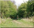 Old railway, east of Fosse Way, Offchurch