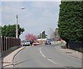 Dudley Wood Road, Dudley Wood