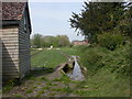 Bere Regis, watercress beds