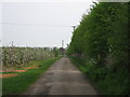 Bridleway to Rushett