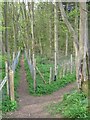 Footpaths to Newnham in Lady