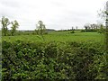 Innishcollan Townland