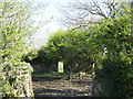 Roofless ruin of the Cefn Coch Woollen Mill