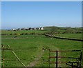 View across farmland to Caerdegog Uchaf and Mynydd Ithel Farmhousess