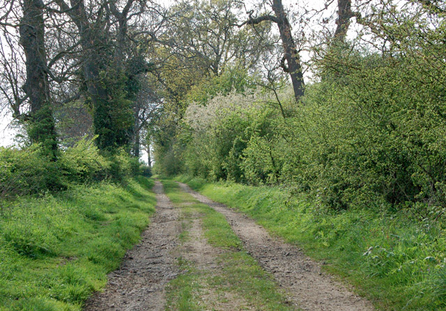 Gypsy Lane unclassified road near In Meadow Gate