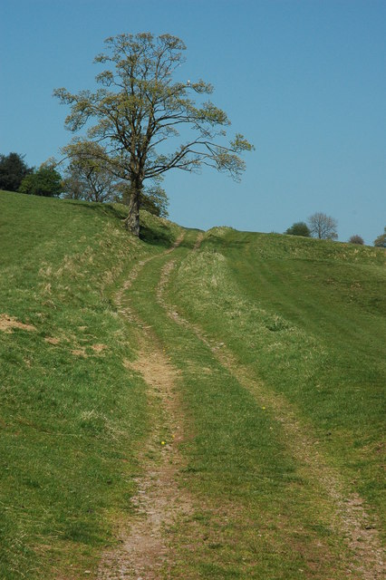 Track ascending Cefn Hill