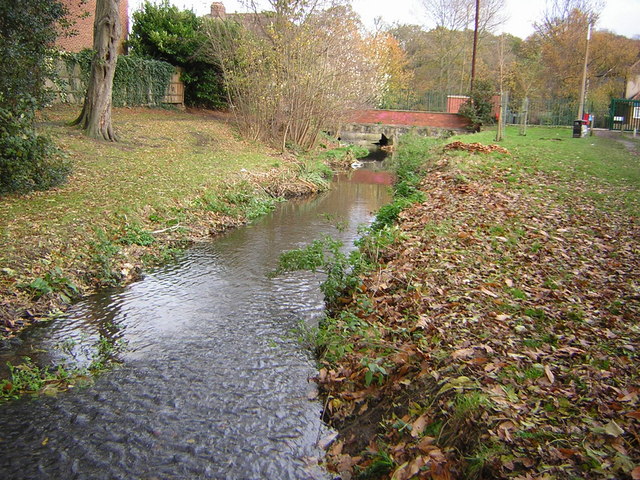 The River Shuttle approaching Bexley Park Wood