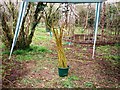 Old School Gardens, Llanteg