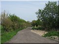 Bridleway going East from End of College Road N