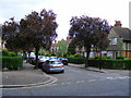 Dekker Road Dulwich