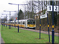 Grass on the platform