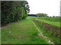 Ditch beside footpath