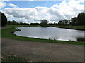 Small lake at the  south end of Oakendene Estate