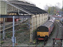 SJ7154 : Royal Mail sidings at Crewe by Stephen Craven