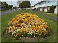 Flowerbed in Carisbrooke Road