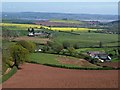 Countryside around Pitt Farm