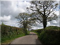 Minor road, near Holmsleigh