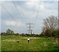 Craig Road Playing Fields