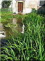 Pond at Aldermans Walk, Gresham Street EC2