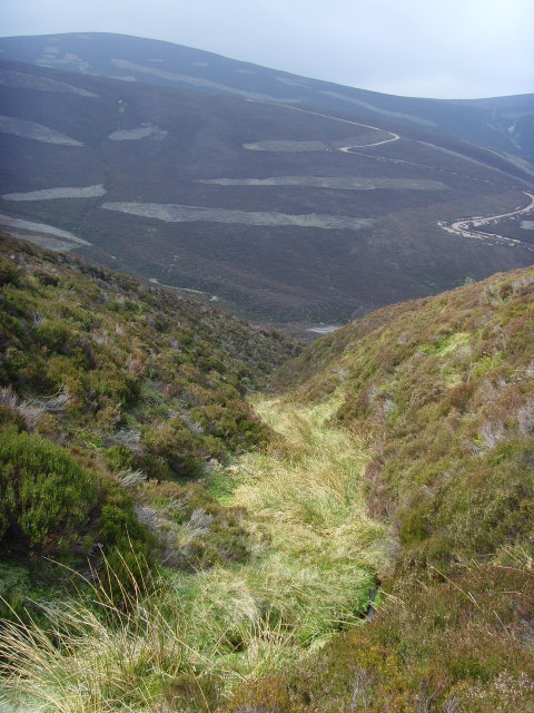 Moorland Gully above the Water of Allachy