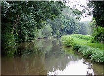 SJ9316 : Staffordshire and Worcestershire Canal, north of Penkridge, Staffordshire by Roger  D Kidd