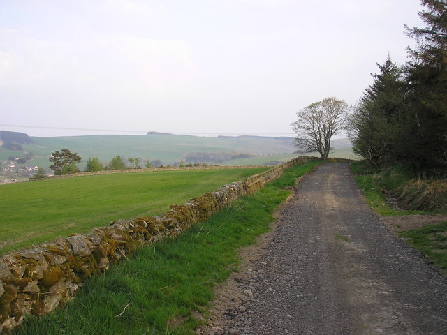 The Farm Road from Ladhopemuir to... © Iain Lees cc-by-sa/2.0 ...