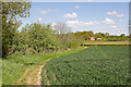 Footpath going towards Wickham Common