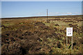 NT7248 : Greenlaw Moor by Walter Baxter