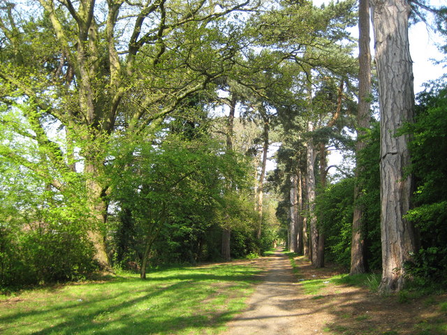 Carpenders Park Lawn Cemetery: Woodland Walk