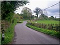 Road past Felin Cwrt, Login