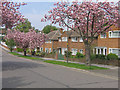 Ridgeway Crescent Gardens