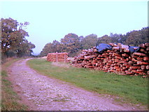 SP7223 : Log Piles, Three Points Lane by Andy Gryce