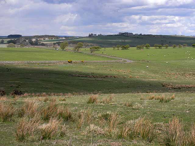 Northumbrian landscape