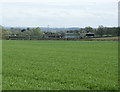 2009 : Hay field near Heywood Farm