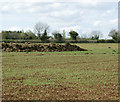 2009 : Heap of fertiliser near Down Farm