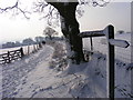 SK3183 : Whirlow Farm Footpath by Derek Henry