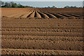 SO7225 : Potato field, Newent by Philip Halling